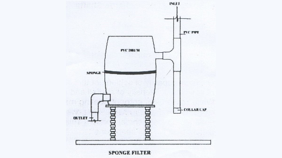 Sponge Filter